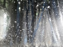 carwash-1.jpg