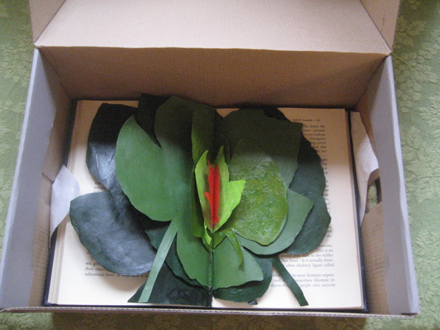 boxed-book boxed-book