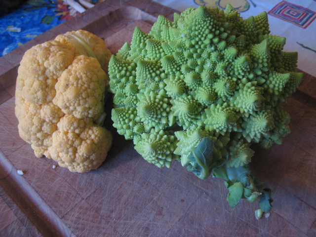 cauliflower 3