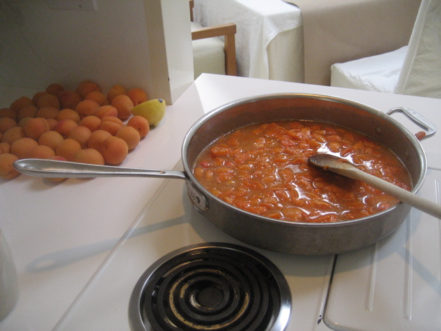apricot jam