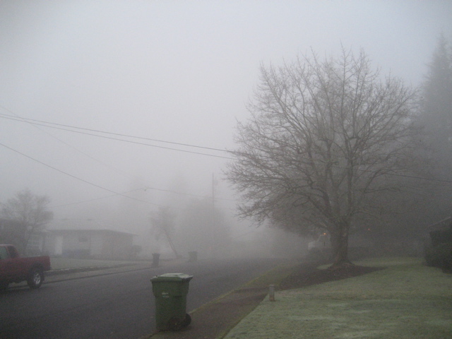 fog 1