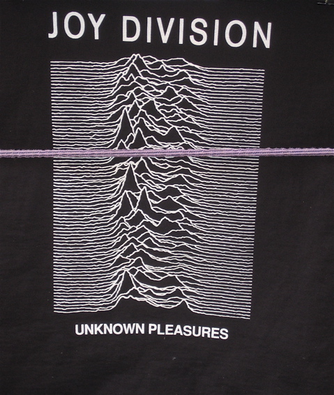 joy division