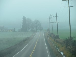 fog 1