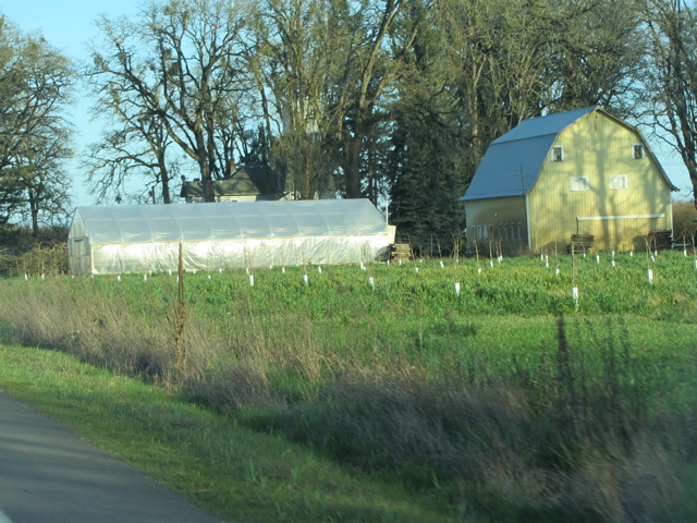 barns