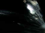 carwash 1