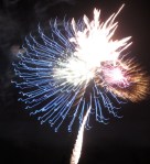 firework 1