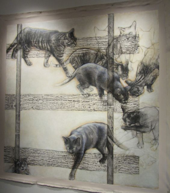 cats