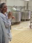 cheese tour guide