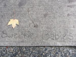 Sweetie babies