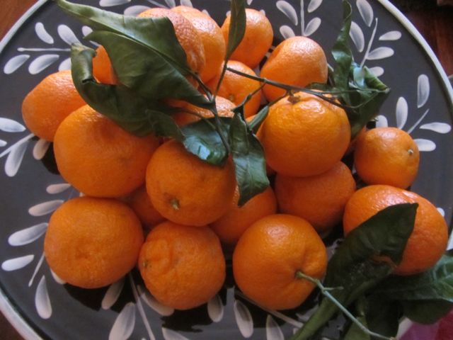 satsumas