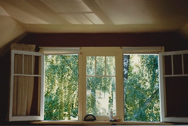 224-3rd floor windows