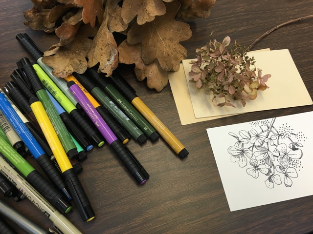 hydrangea drawing