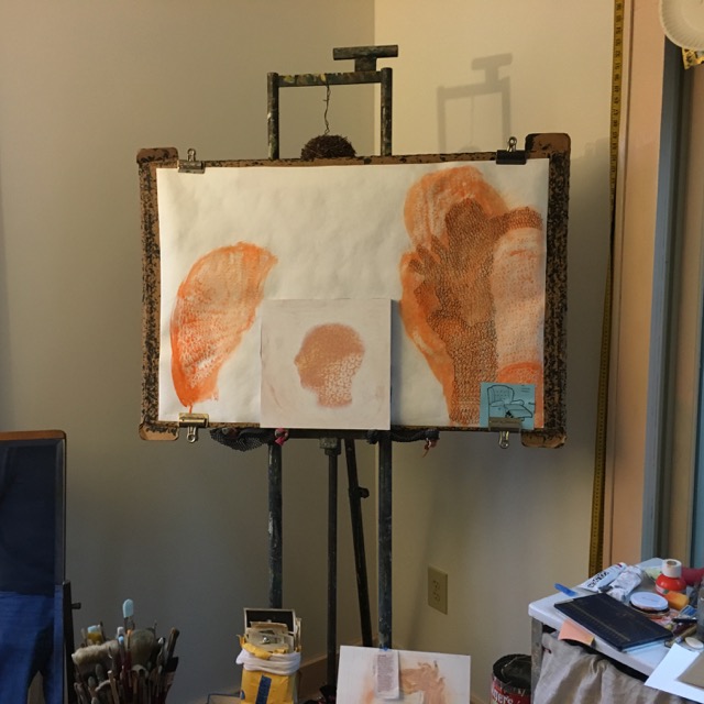 portraits in porocess