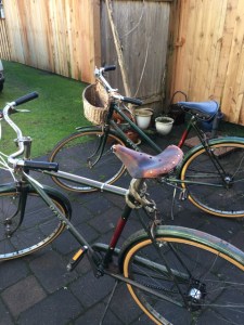 bikes 1