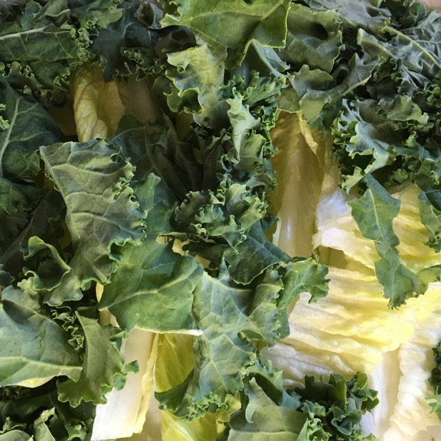 romaine-kale