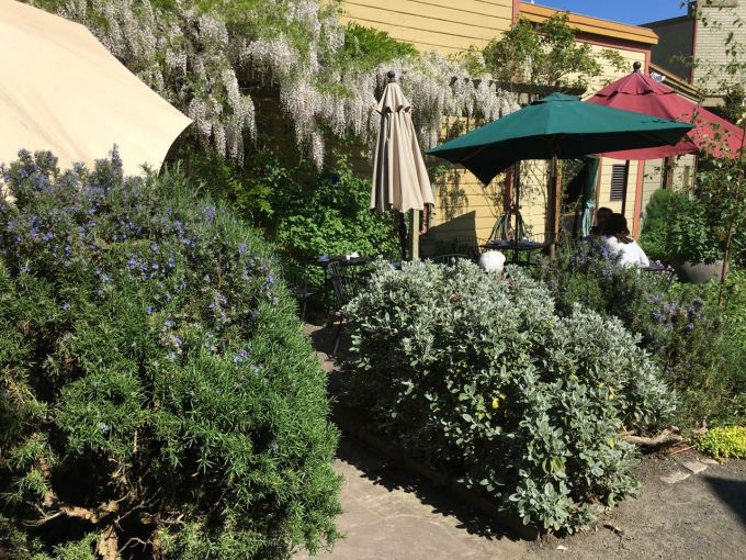 trip Sweet Laurette's