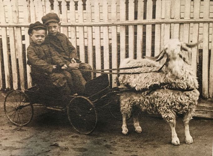 Newt and Joe in a goat cart