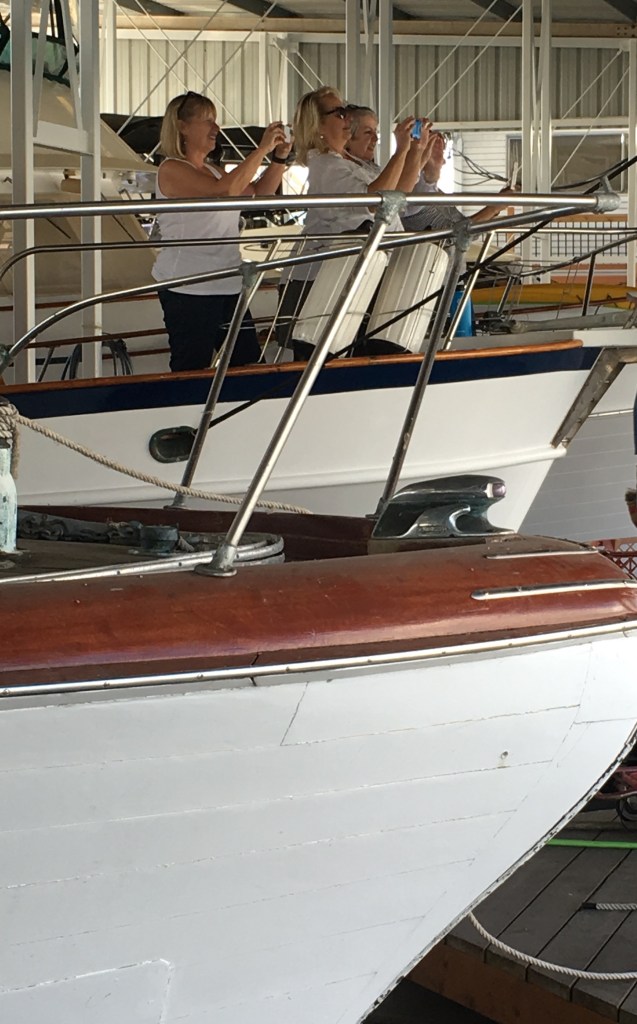 cruise-1