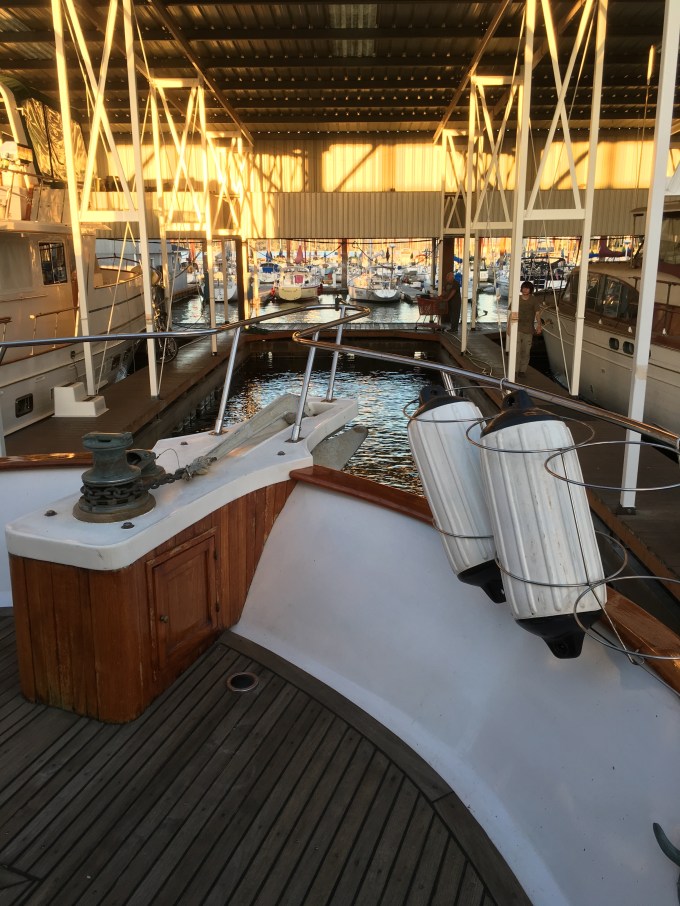 cruise-heading-in-4