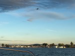 cruise-plane-4
