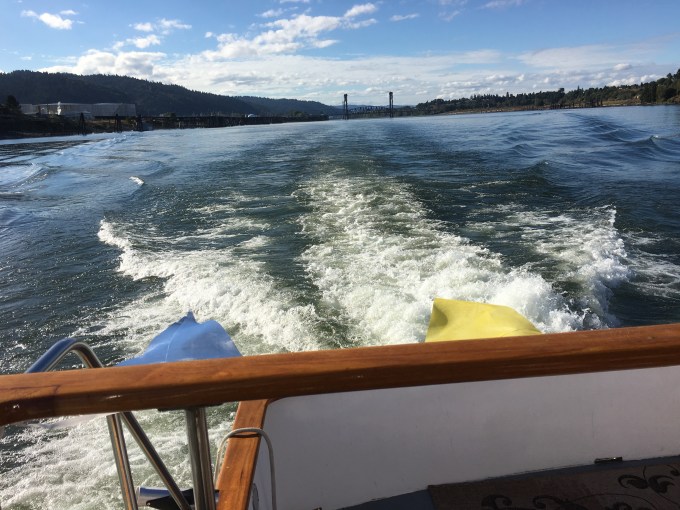 cruise-wake